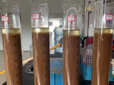 بكتيريا إزالة نيتروجين الأمونيا (ذاتية التغذية)