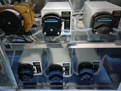 بكتيريا إزالة نيتروجين الأمونيا (ذاتية التغذية)