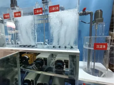 بكتيريا إزالة نيتروجين الأمونيا (غيرية التغذية)