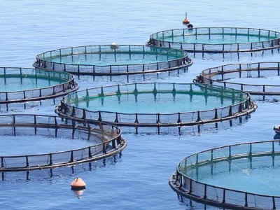 منشط بيولوجي لاهوائي