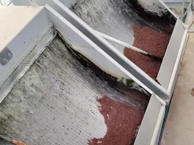 مغذي تنشيط البكتيريا