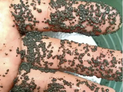 بكتيريا إزالة الروائح البيولوجية