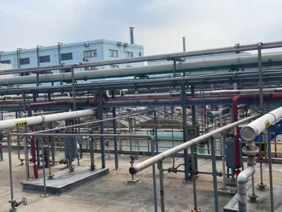 بكتيريا إزالة الطلب الكيميائي على الأكسجين (هوائية)