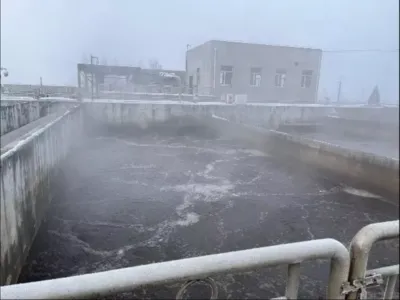 بكتيريا إزالة الطلب الكيميائي على الأكسجين (هوائية)