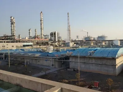 بكتيريا التحلل الحمضي